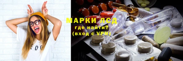 прущий лед Алзамай