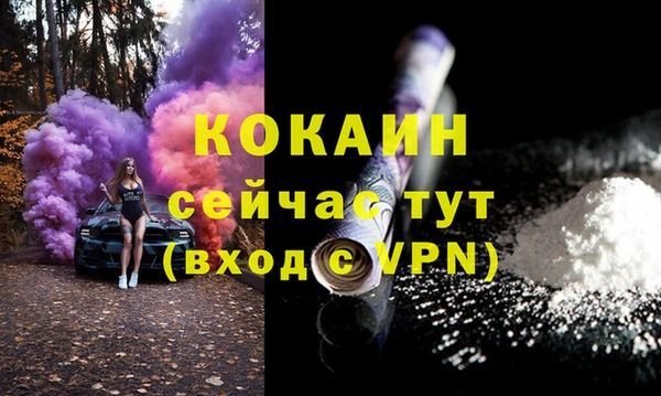 прущий лед Алзамай