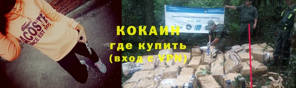 прущий лед Алзамай